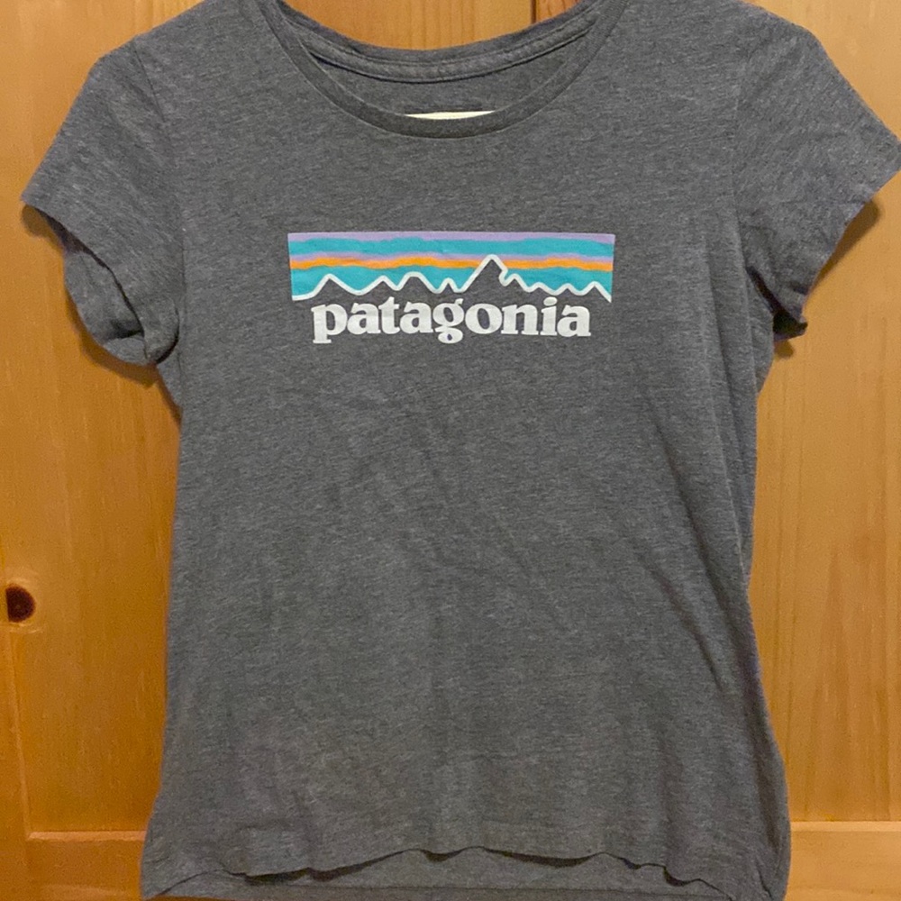 Gray patagonia t-shirt